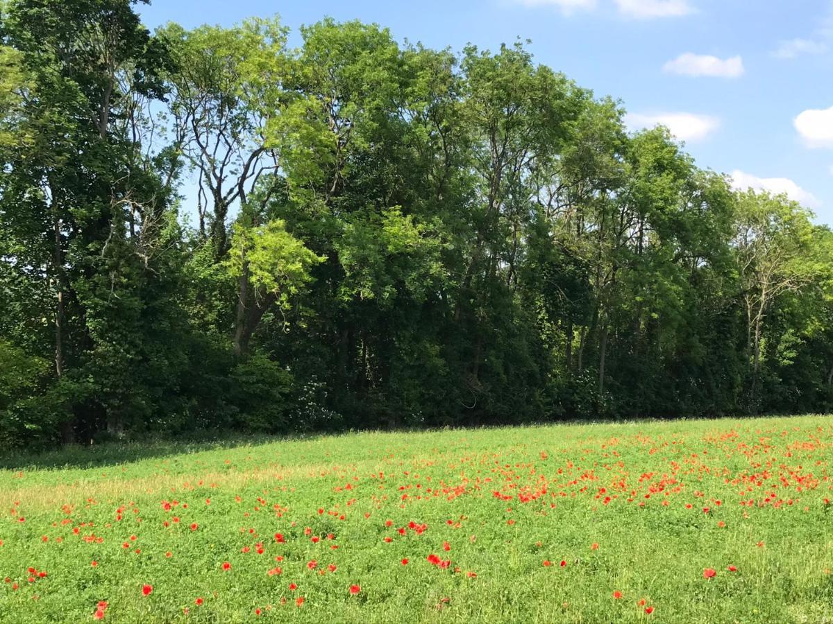 Chambre D'Hotes "Coquelicot" Nurlu Luaran gambar